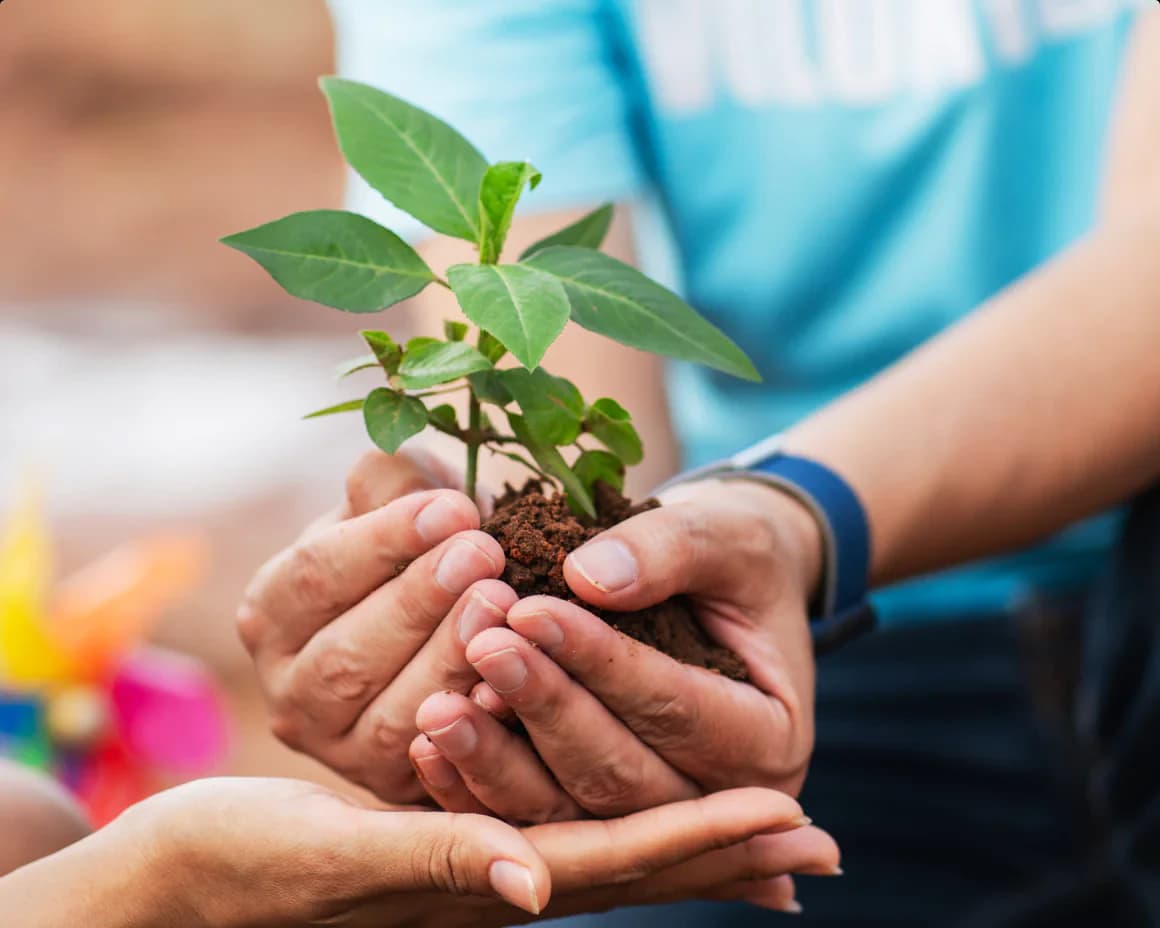 PTT Gives Back to Nature with Gas Up for a Tree